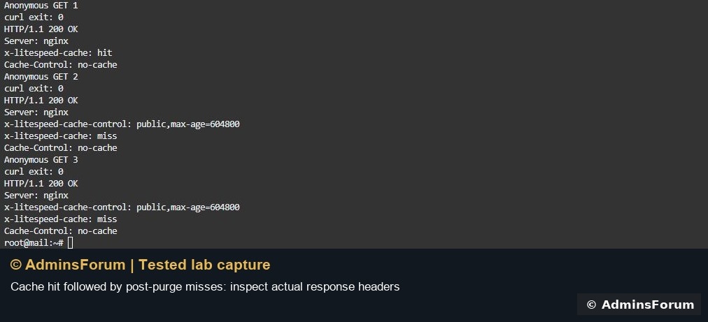 ols cache hit branded