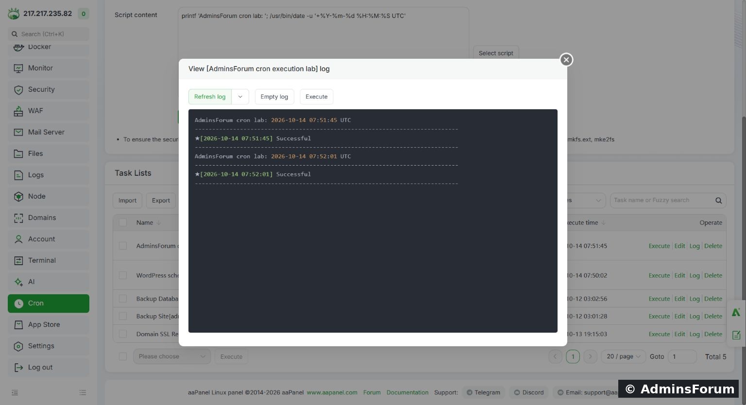 The log shows the manual execution followed by an automatic execution at the next minute boundary.