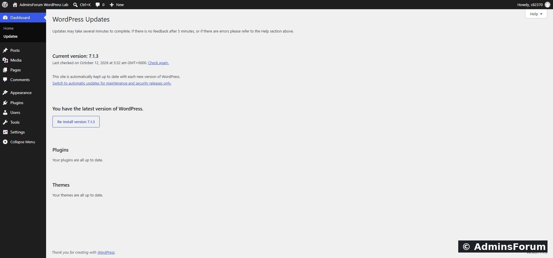 Our dashboard after checking: core, plugins and themes are all up to date.