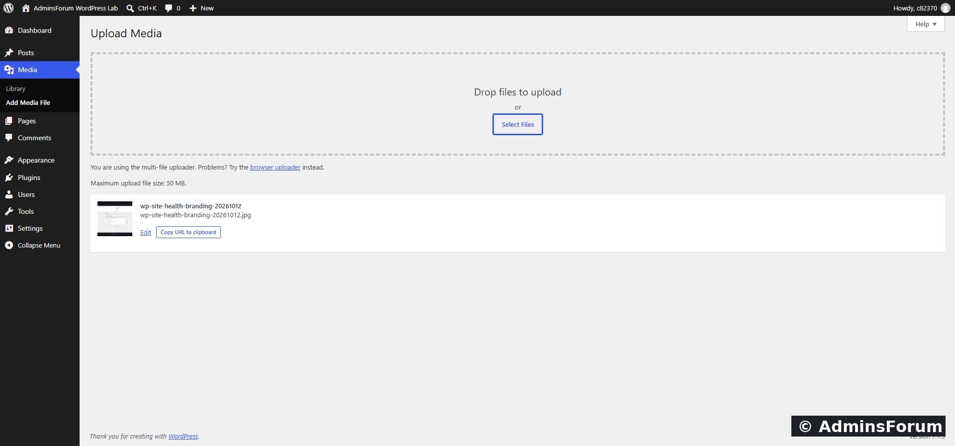 Our uploaded file appears with Edit and Copy URL to clipboard actions.