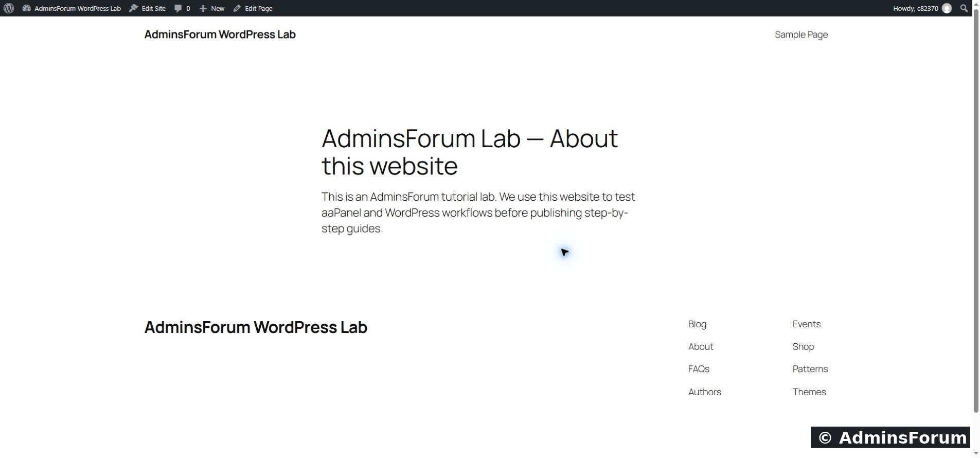 The draft preview rendered our title and paragraph in the website’s actual theme.
